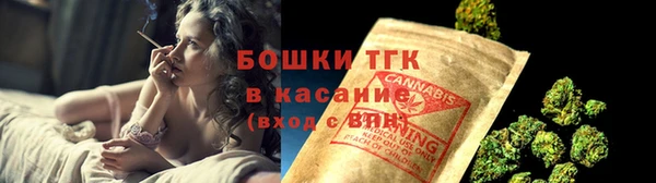 2c-b Новозыбков