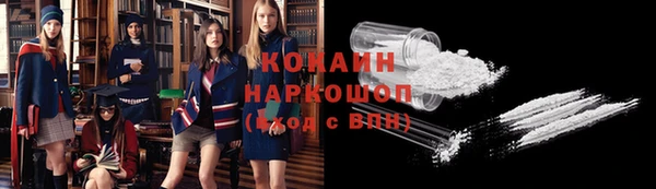 2c-b Новозыбков