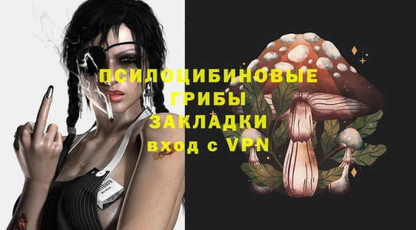 крисы Новокубанск