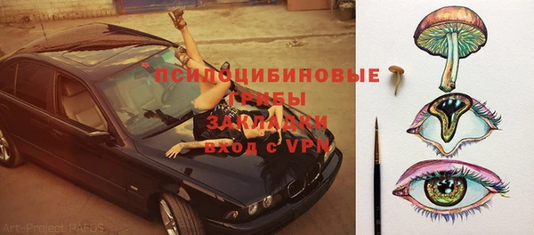 крисы Новокубанск