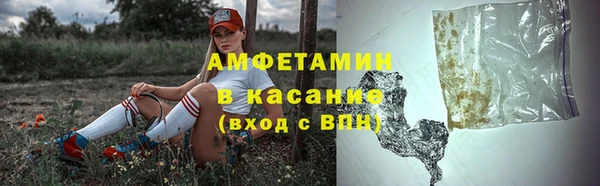 крисы Новокубанск