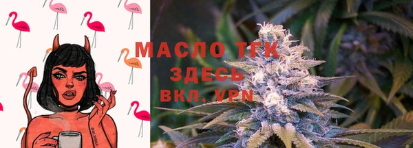 крисы Новокубанск
