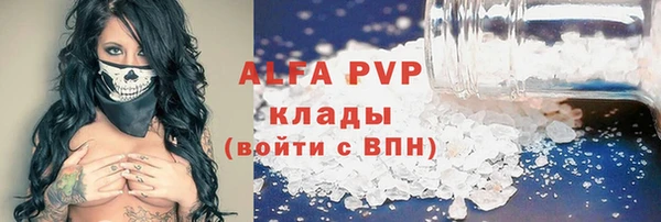 крисы Новокубанск