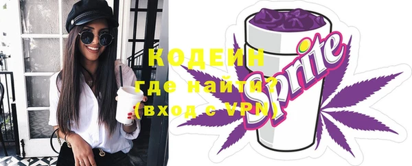 2c-b Новозыбков