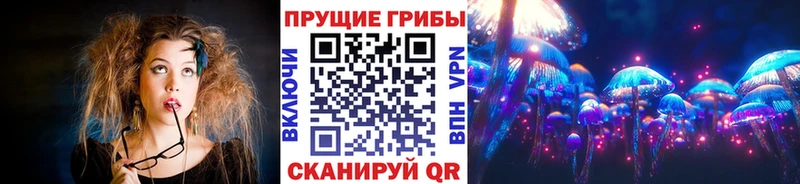 как найти   Тверь  Псилоцибиновые грибы Psilocybe 