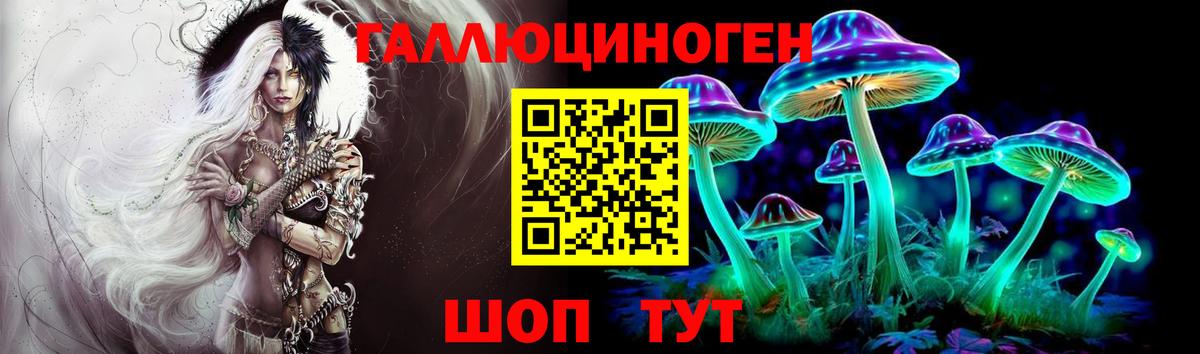 где продают   Псилоцибиновые грибы MAGIC MUSHROOMS  Тверь  Псилоцибиновые грибы Cubensis 